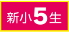 新小5生